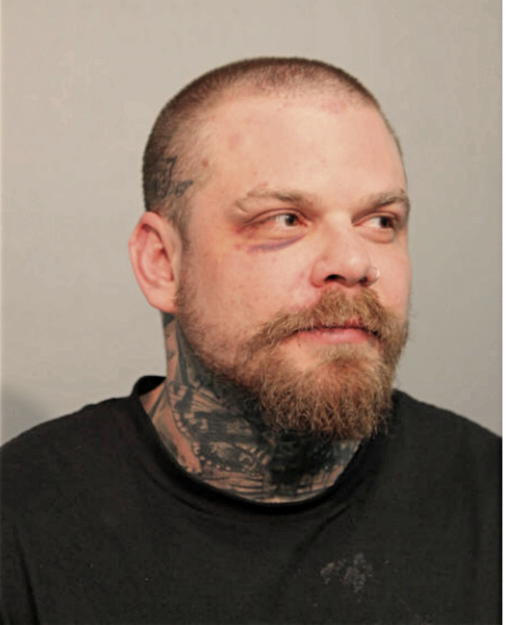 JOHN T LYON, Cook County, Illinois