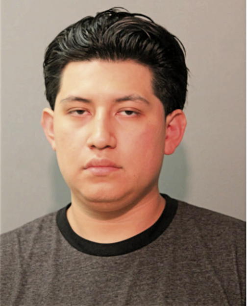 LUIS L MARCA, Cook County, Illinois