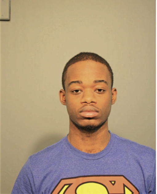 JOHNELLE M MCDONALD, Cook County, Illinois