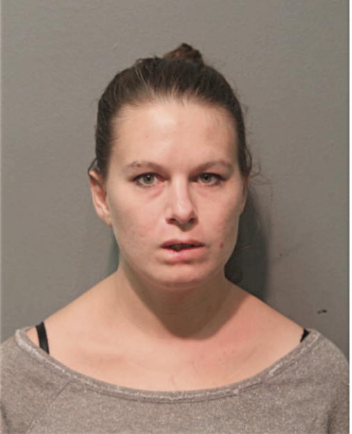 MELLISA A METZ, Cook County, Illinois