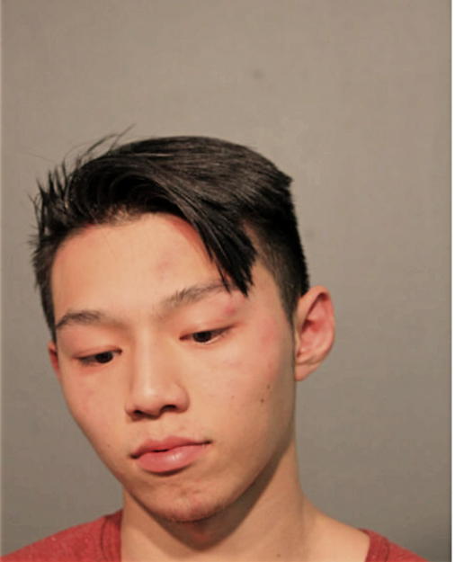 JONATHAN NGUYEN, Cook County, Illinois