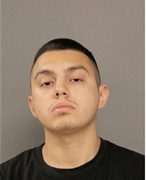 MIGUEL A NIETO, Cook County, Illinois