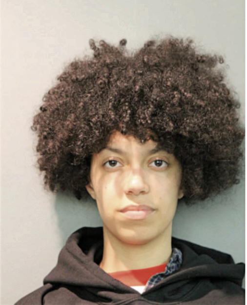 SARAH OBERHOLTZER, Cook County, Illinois