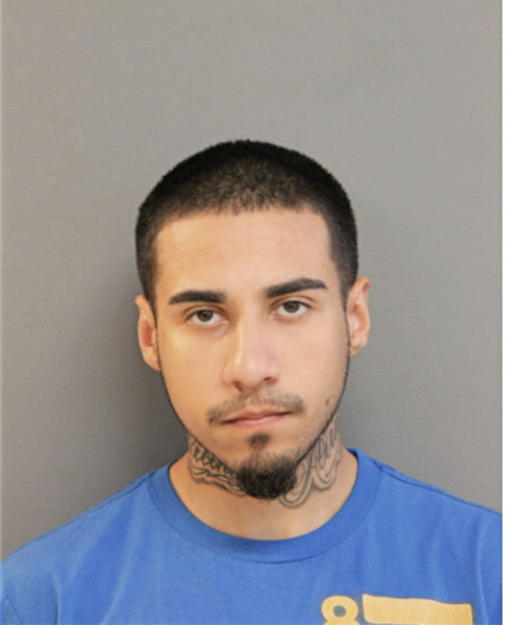 ADRIAN RENTERIA, Cook County, Illinois