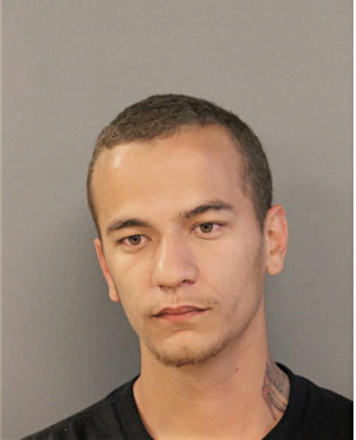 JESSE D RODRIGUEZ, Cook County, Illinois