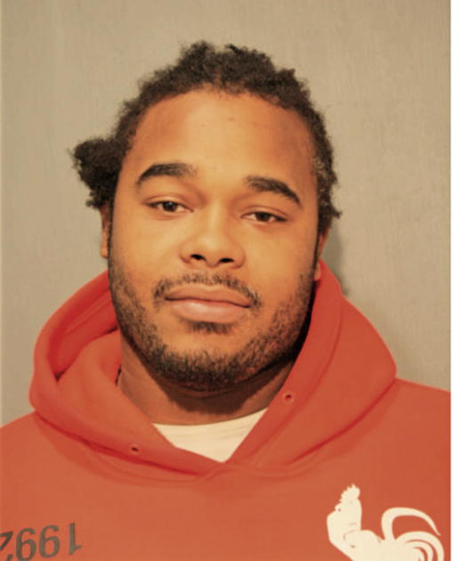 DENNIS D SUDBERRY, Cook County, Illinois