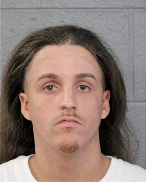 ANDREW M SWANSON, Cook County, Illinois