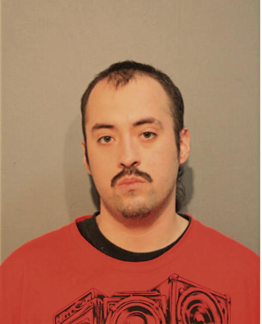 DINO VENEGAS, Cook County, Illinois
