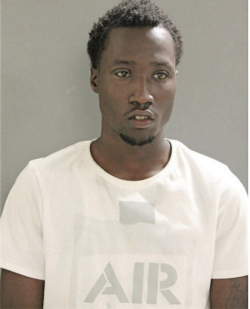 DIONTE T WILLIAMS, Cook County, Illinois