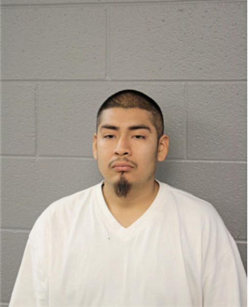 EDUARDO ALEMAN, Cook County, Illinois