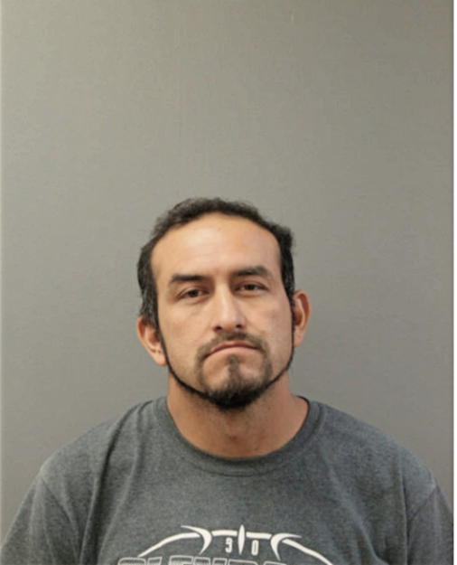 SERGIO ALVAREZ-ESPINOSA, Cook County, Illinois