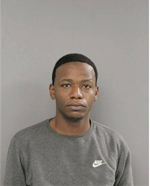 TERRANCE T ANDERSON, Cook County, Illinois