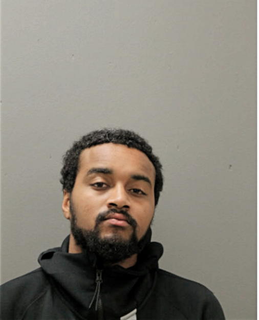 LEE A ARMSTRONG, Cook County, Illinois