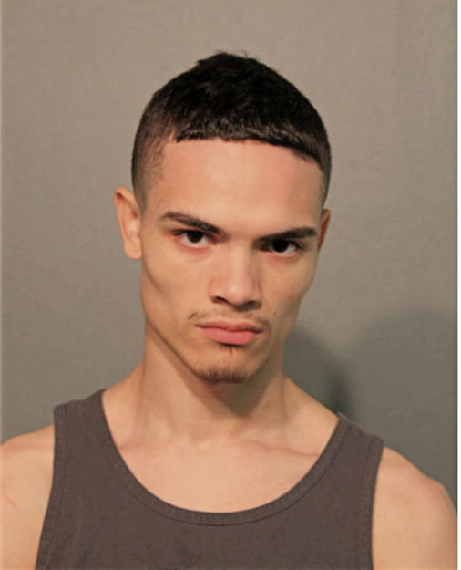 GEORGE BERMUDEZ, Cook County, Illinois
