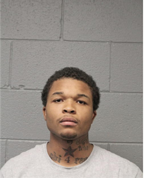 STEPHEN B BROWN, Cook County, Illinois