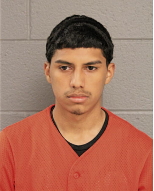 JAFET BUESO, Cook County, Illinois