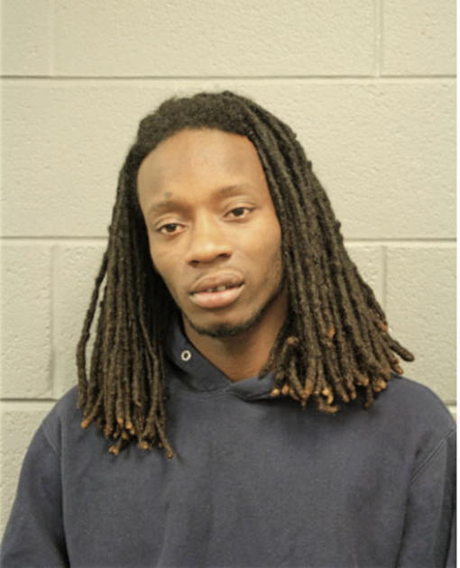 CORNELIUS C FLEMING, Cook County, Illinois