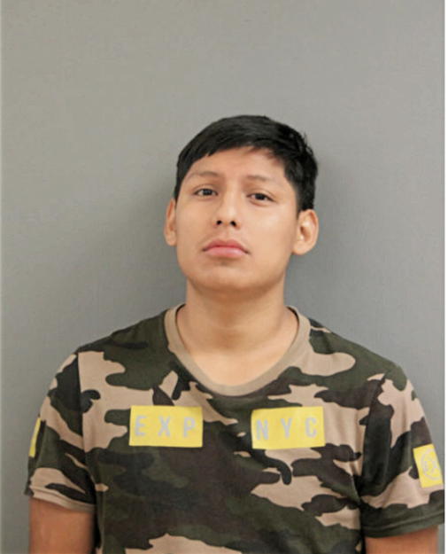 AARON FLORES-BALBUENA, Cook County, Illinois