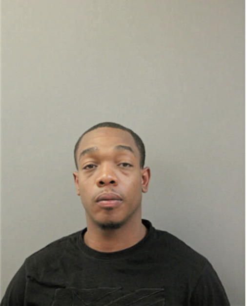 HOWARD J FOLKS, Cook County, Illinois