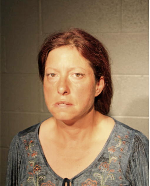 SHELLEY R FREY, Cook County, Illinois