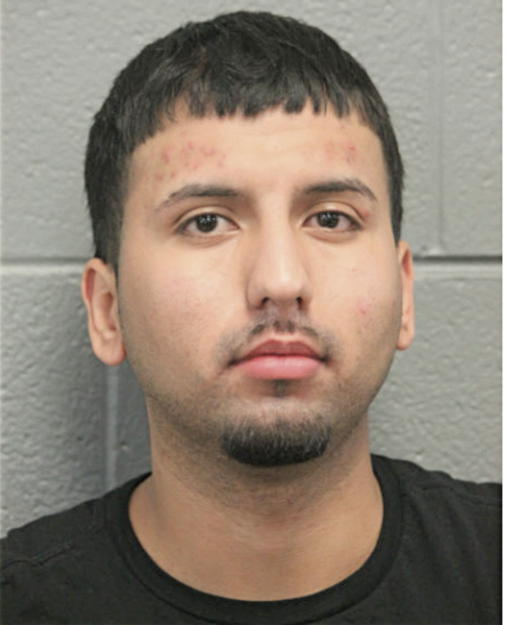 BORIS A GALARZA, Cook County, Illinois