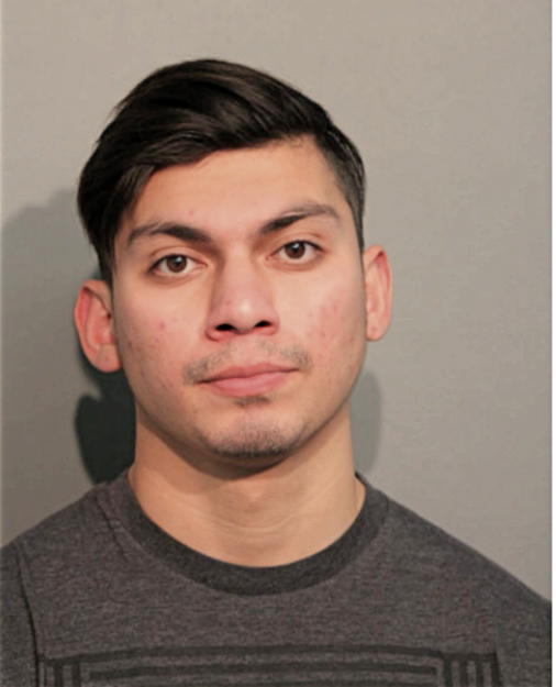 DAVID GONZALEZ, Cook County, Illinois