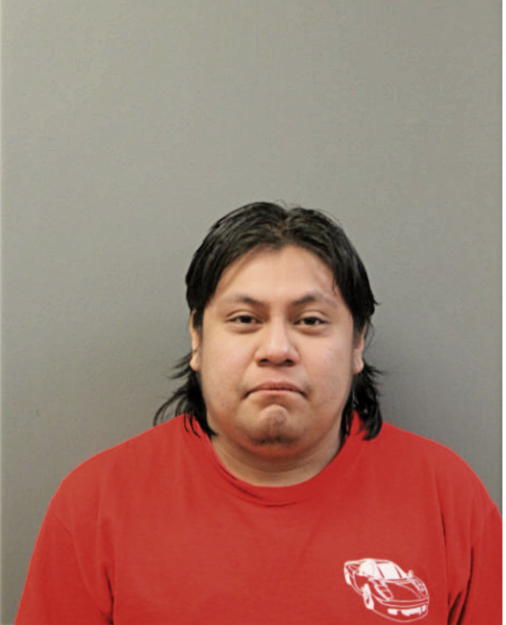 GEORGE P GONZALEZ, Cook County, Illinois
