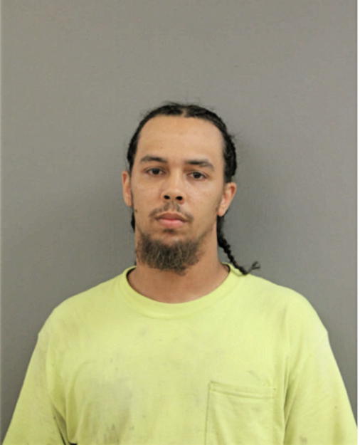 ALLEN P GRIGGS, Cook County, Illinois