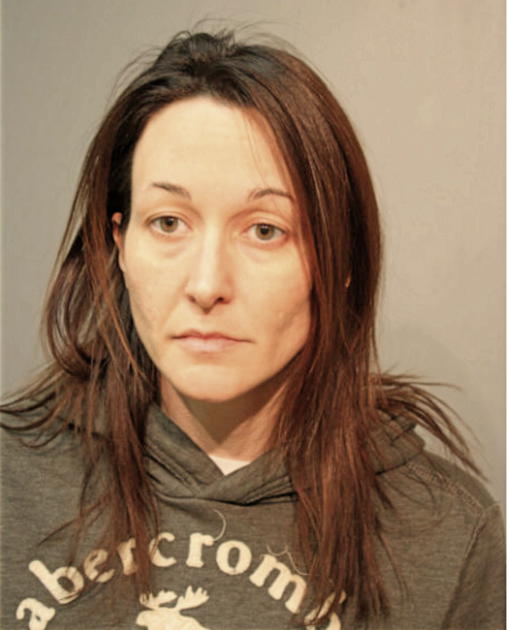 MEGAN K HOVANIEC, Cook County, Illinois
