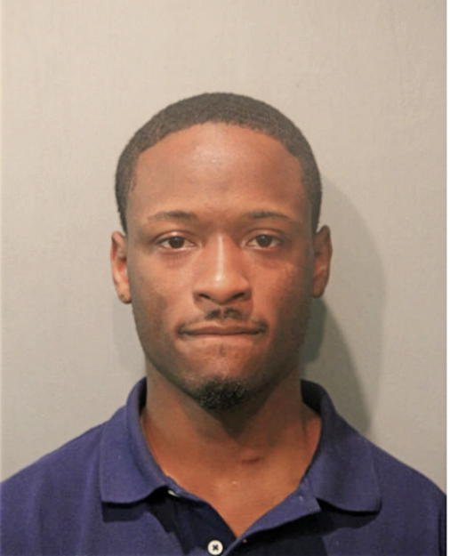 BRIAN HUNT, Cook County, Illinois