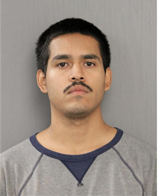 JOSE A LEANOS, Cook County, Illinois