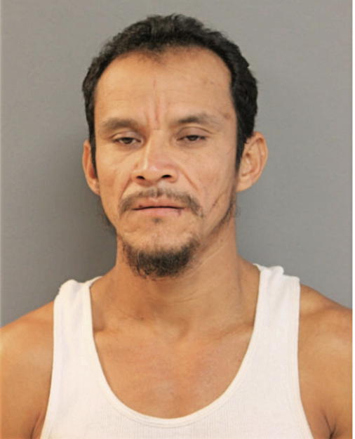 DANILO LEMUS, Cook County, Illinois