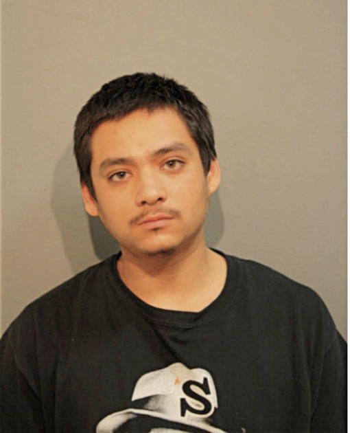 RALPH D MENDEZ, Cook County, Illinois