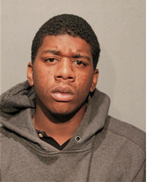 KENNETH W MERRITT, Cook County, Illinois