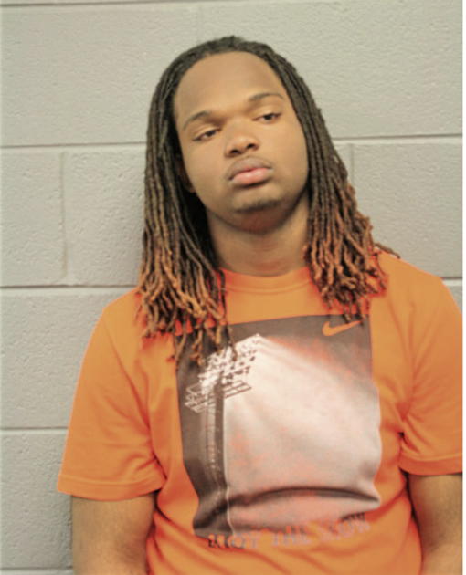 TYRIN T NORRIS, Cook County, Illinois