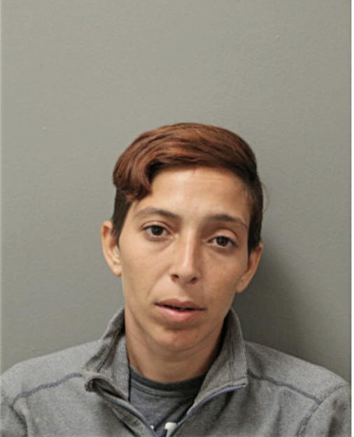 AMARILYS DEL RIO, Cook County, Illinois