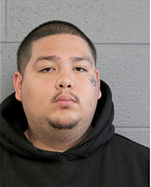 DAVID G SALINAS, Cook County, Illinois
