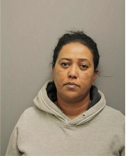 HIRUT K TAMRAT, Cook County, Illinois
