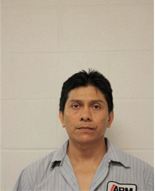 GONZALO V LEON, Cook County, Illinois