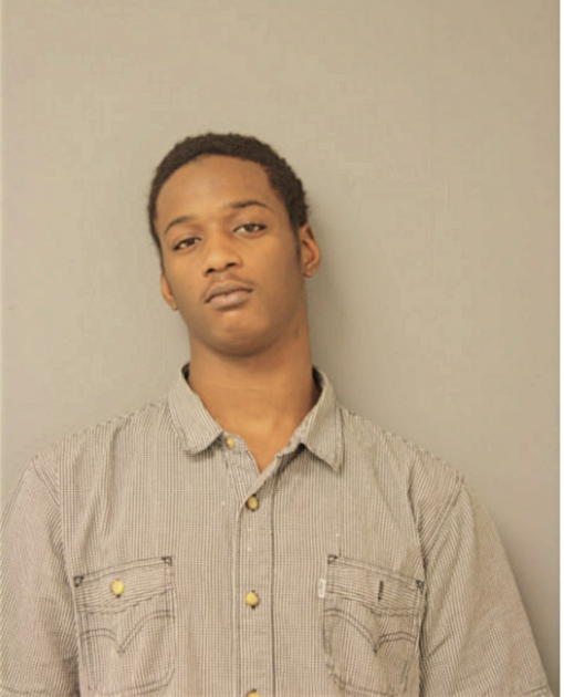 BRIAN L DAVIS, Cook County, Illinois