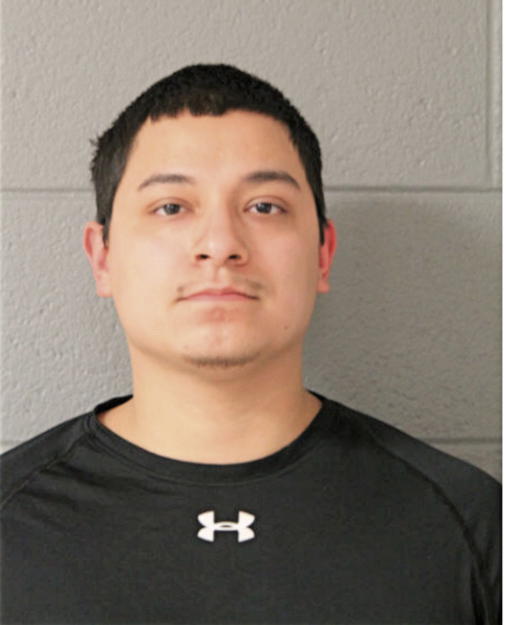 ANTHONY J FLORES, Cook County, Illinois