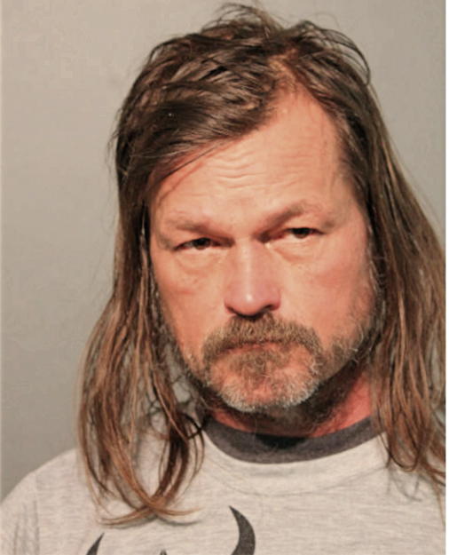 STEPHEN A FRIBERG, Cook County, Illinois