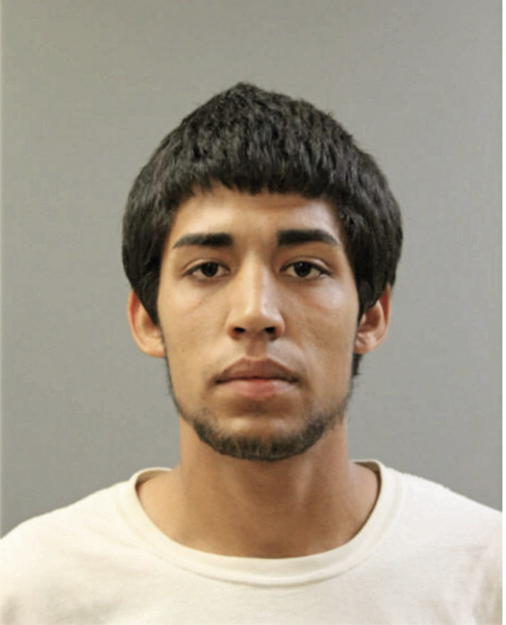 LEONARDO GONZALEZ, Cook County, Illinois