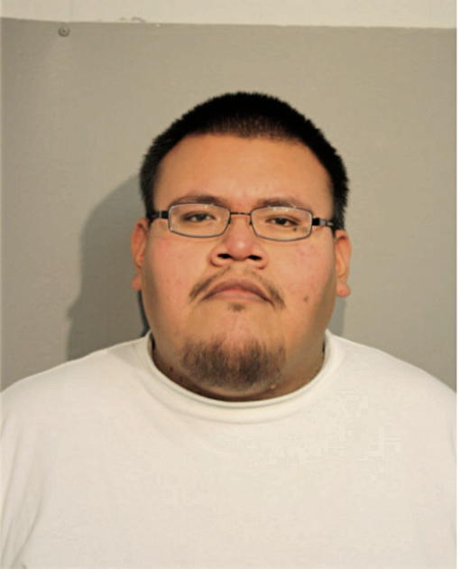 JOSE L HERNANDEZ, Cook County, Illinois
