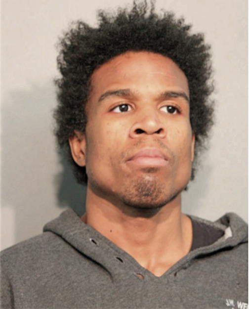 MICHAEL HORTON, Cook County, Illinois