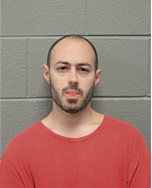 COREY M LEVY, Cook County, Illinois