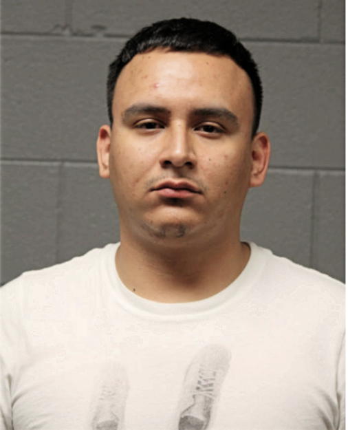 MIGUEL A LOPEZ-GONZALEZ, Cook County, Illinois