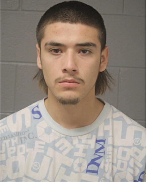 JORGE L MARTINEZ, Cook County, Illinois