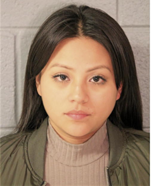 KARINA A MARTINEZ, Cook County, Illinois