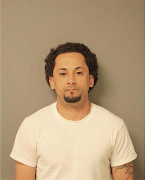 CARLOS JOSE PAGAN COTTO, Cook County, Illinois